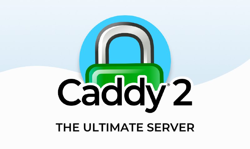 GitHub - caddyserver/caddy: Fast and extensible multi-platform HTTP/1-2-3 web server with automatic HTTPS