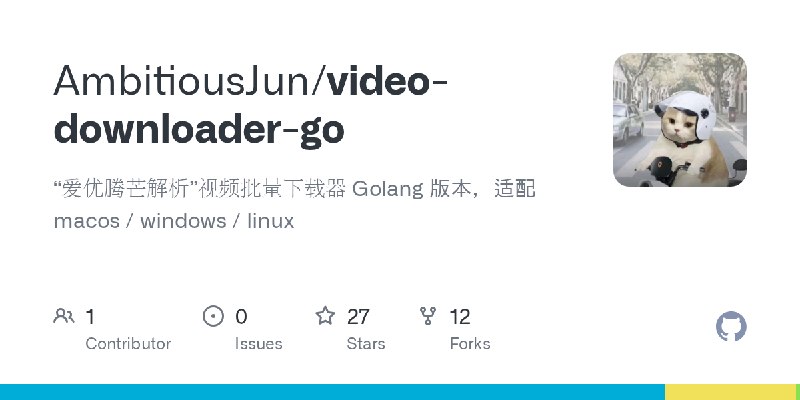 GitHub - AmbitiousJun/video-downloader-go: “爱优腾芒解析”视频批量下载器 Golang 版本，适配 macos / windows / linux