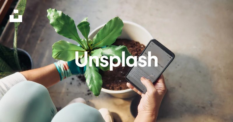 Beautiful Free Images & Pictures | Unsplash