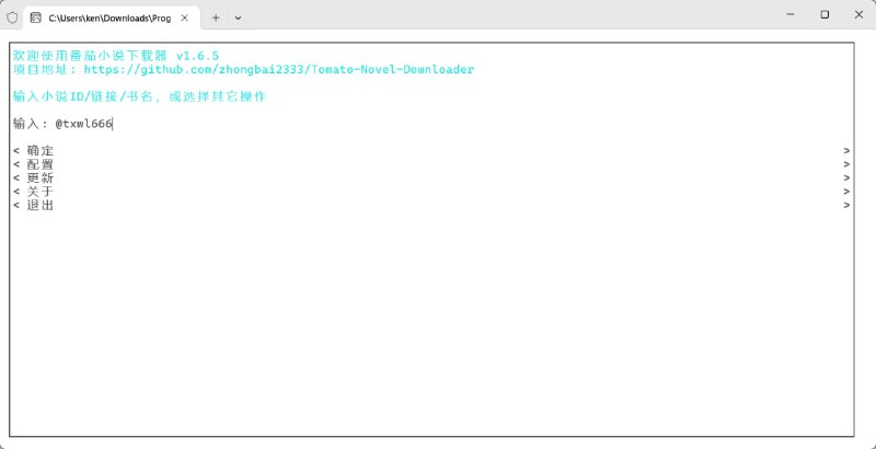番茄小说下载器这是一个基于 fanqienovel-downloader 项目重构并优化的精简版番茄小说下载器