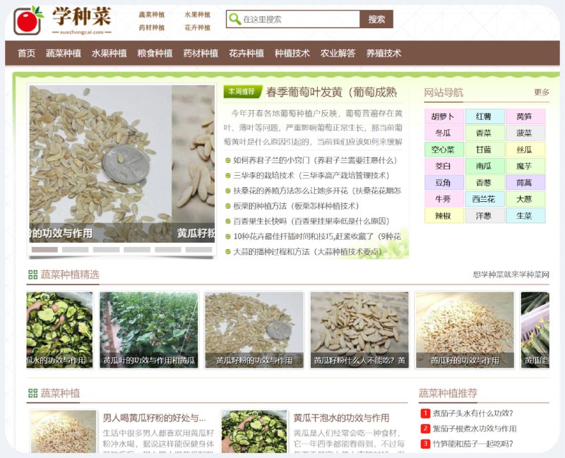 学种菜网学种菜网是一个种植养殖网站，主要提供蔬菜种植、粮食种植、水果种植、中药材种植及花卉养殖技术文章