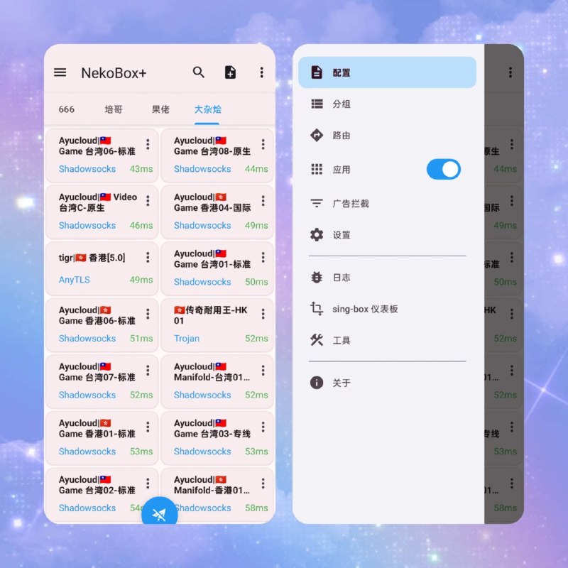 🧩 🔁 NekoBox Plus 1.4.2.62📦 代理工具 ｜ 安全增强版 ｜ 网络隐私客户端