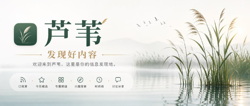 芦苇 - 发现好内容