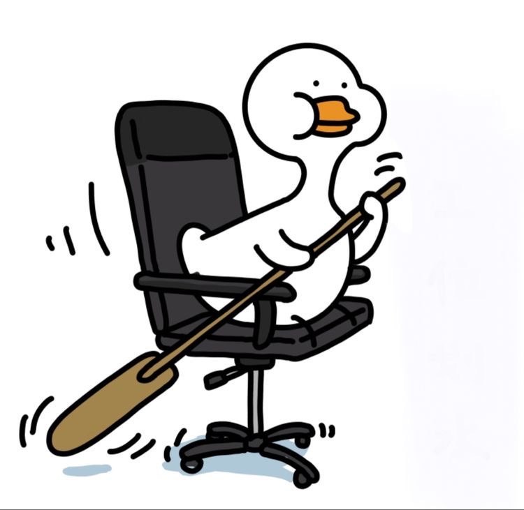 一组鸭鸭🧐一组鸭鸭🧐