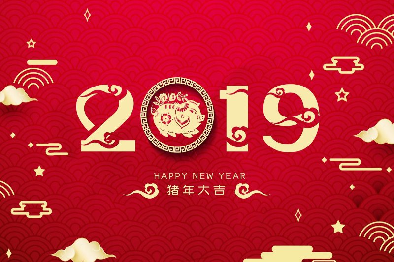 2019猪年快乐🐷