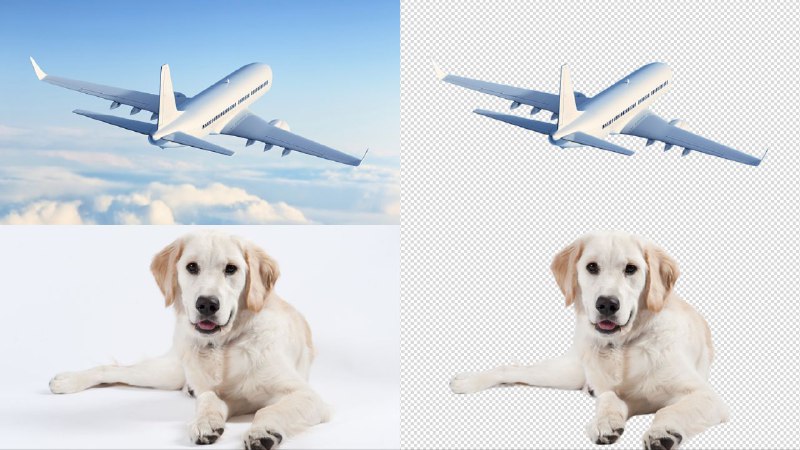 ImageTools通用抠图处理输入图像中的主体，支持商品、人物、动物、植物、汽车等，无需任何额外输入，实现端到端的通用抠图并输出四通道抠图结果，如上图所示