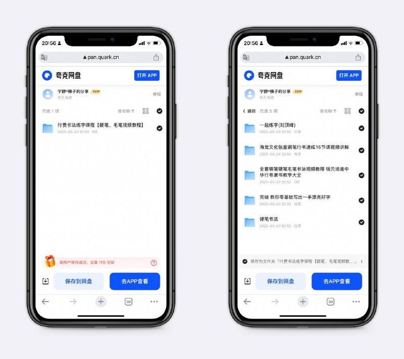 付费书法练字课程包括硬笔、毛笔的视频教程～