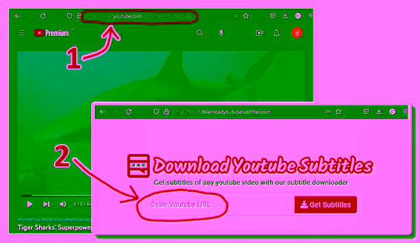 轻松免费下载 Youtube 字幕！ 是最快的在线 Youtube 字幕下载应用程序之一