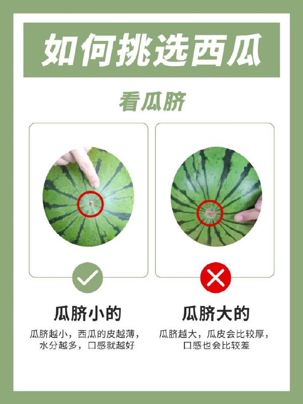 #教程分享挑瓜攻略如何挑西瓜频道：@free347#教程分享挑瓜攻略如何挑西瓜频道：@free347