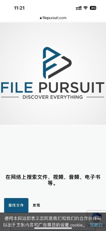 FilePursuit 提供了非常强大的文件索引和搜索服务，允许您在位于 Web 服务器上的数百万个文件中找到一个文件