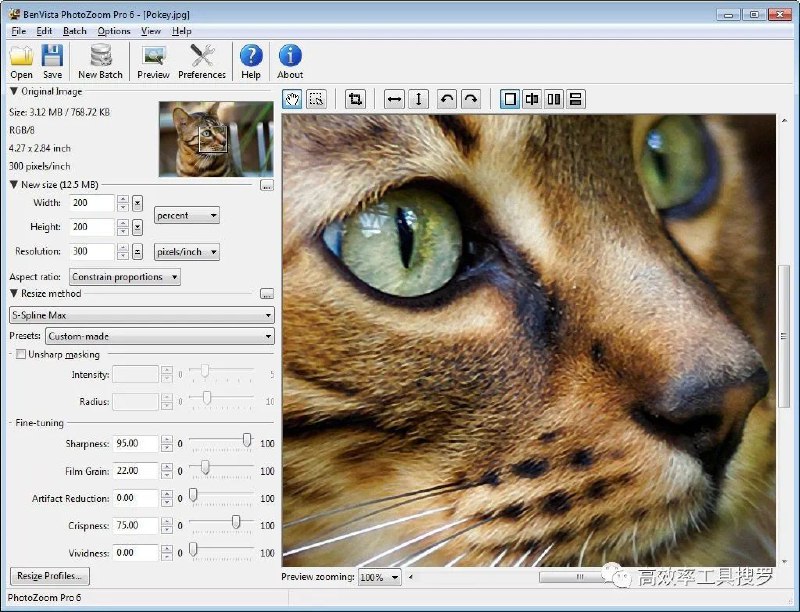 BenVista PhotoZoom ProPhotoZoom Pro 是一款无损图片放大工具