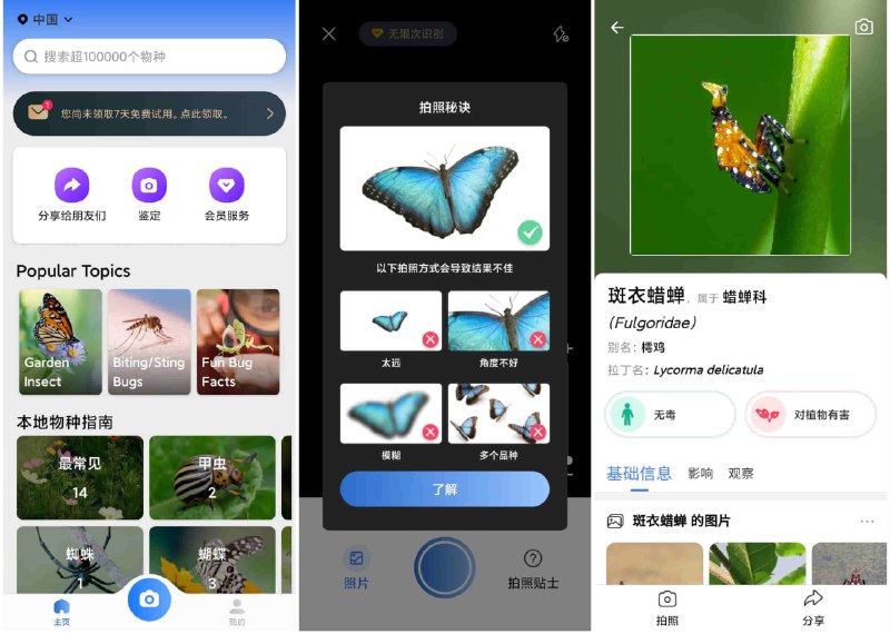 昆虫识别 Picture Insec主要用于识别和学习昆虫相关的知识