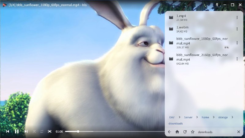 Iris 开源轻量级视频播放器，支持播放本地文件和 WebDAV 的开源轻量级视频播放器，可播放多种媒体格式