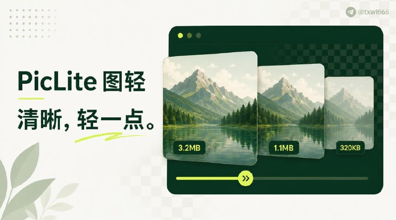 PicLite 图轻开源跨平台本地图片动图压缩工具，智能择优压缩，本地文件夹监控，强大自定义悬浮窗