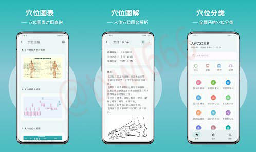 人体穴位图解一款免费无广可提供人体穴位、经络病症及穴位图表查询的工具，基于Flutter开发，涵盖肺、肠、脾、胃等部位