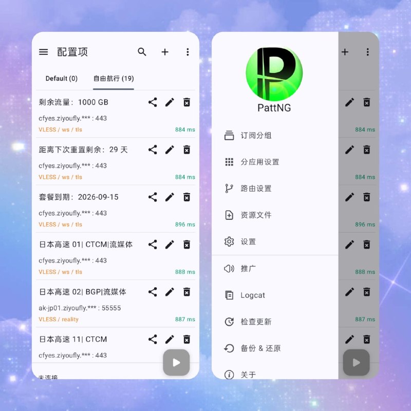 🌐 PattNG v2.3.4-P21📦 VPN客户端 ｜ Android ｜ 网络工具