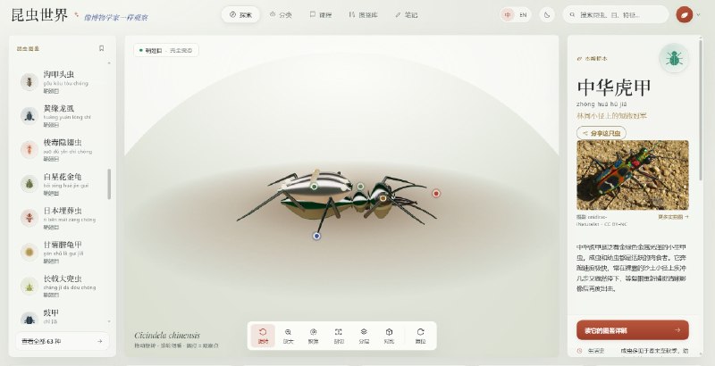 昆虫世界可交互的 3D 昆虫图鉴：旋转、缩放、点击标注点，认识每一种昆虫的身体构造与生活史