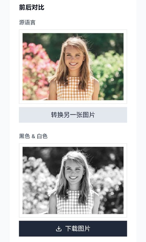 在线将图像转换为黑白可帮助您将彩色照片转换为令人惊叹的单色图像