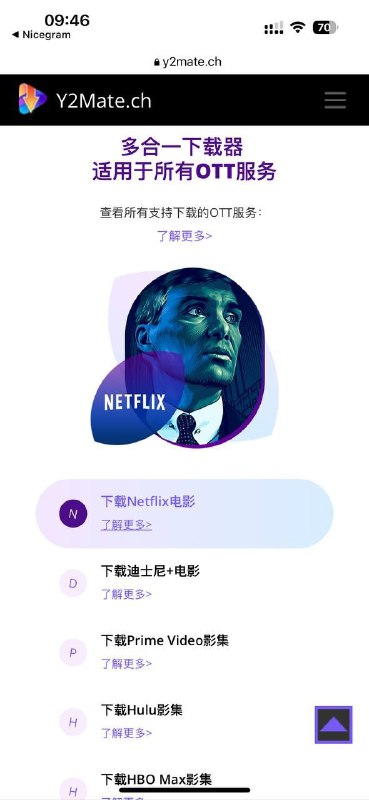 最佳下载器，基本通杀国外所有流媒体平台～