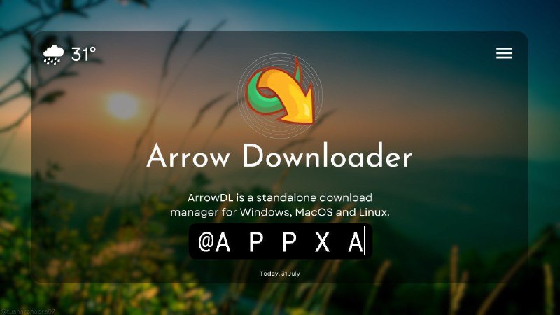 ArrowDL是一款免费开源软件，可帮助您从 Youtube 和其他视频网站下载所有链接、图片、视频、点对点 BitTorrent 文件以及您在网络上找到的其他媒体