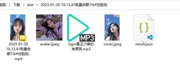 DouYin Downloader 一个用于批量下载抖音内容的工具