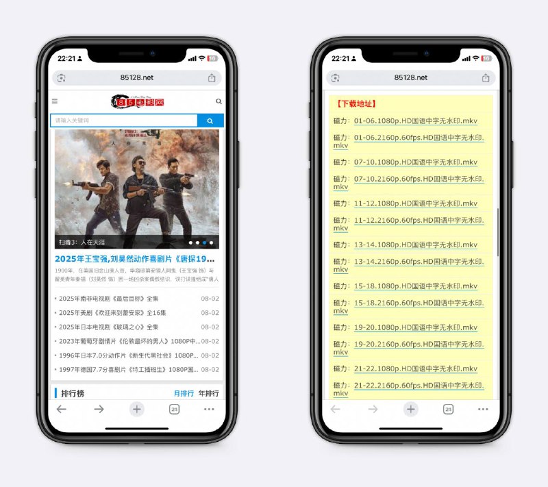 好用的影视下载站提供磁力下载，页面简洁无广告，配合115、pikpak等很舒服～