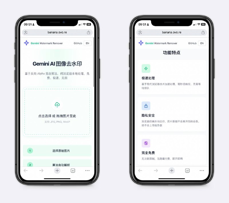 去除Gemini网页版图片的水印无损去除，质量很好，玩AI生图必备