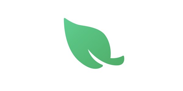 🔁 Leaf VPN📦 开源VPN ｜ 多平台代理 ｜ 免费使用