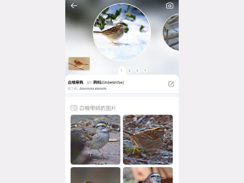 拍照识鸟 Picture Bird轻松快速地识别 10,000 多种鸟类，每个物种都有一个丰富的信息数据库