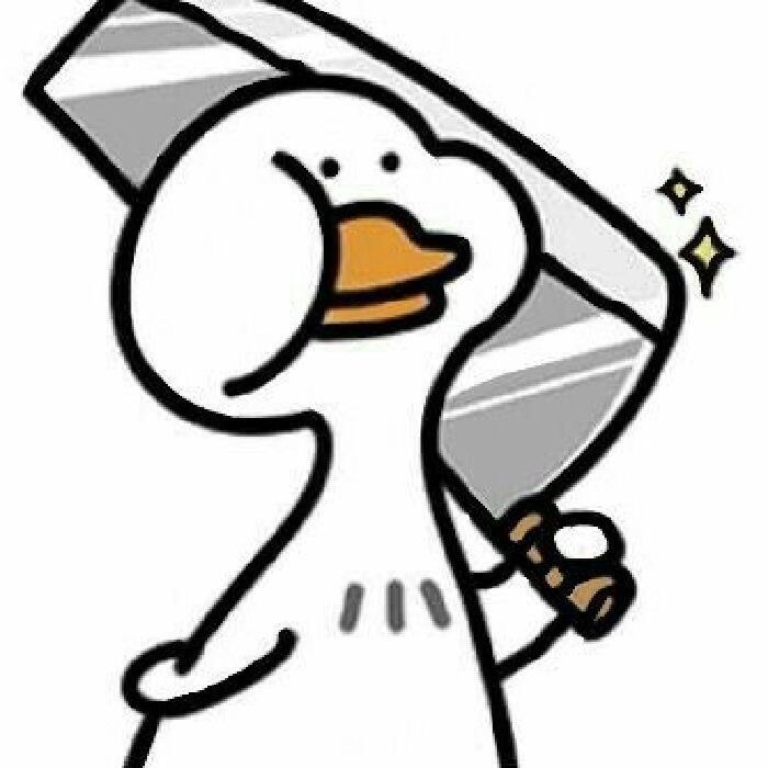 一组鸭鸭🧐一组鸭鸭🧐