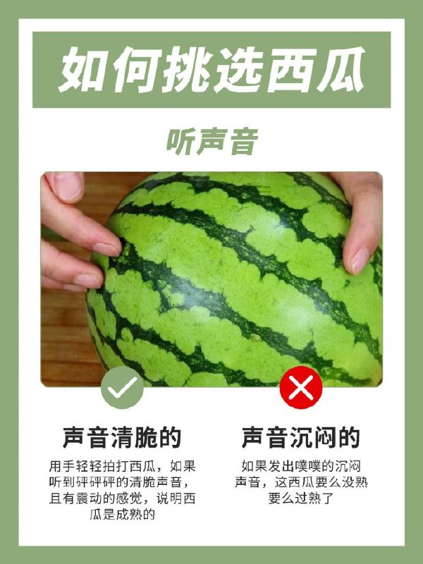 #教程分享挑瓜攻略如何挑西瓜频道：@free347#教程分享挑瓜攻略如何挑西瓜频道：@free347